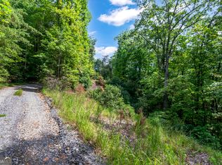 4.69 Rock Water Rd, Ellijay, GA 30536