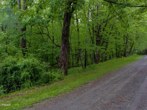 52 Stonefence Rd, Damascus, PA 18415
