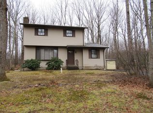 203 McMichaels Ct, Stroudsburg, PA
