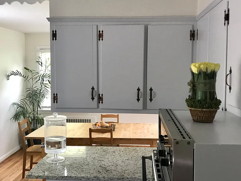 Kitchen - open space - Isle countertop connecting to dining room.
