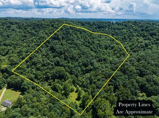 3247 McNamer Brown Rd, Lucasville, OH 45648