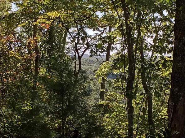 5576 Grave Hill Rd, Oneida, TN 37841