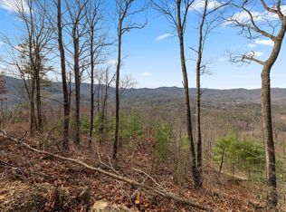 LOT 32 Mount Pisgah Rd, Blue Ridge, GA 30513