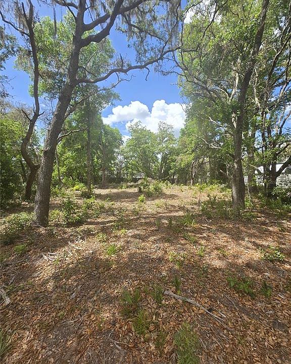 2nd image of 8140 Walt Williams Rd Lot 26