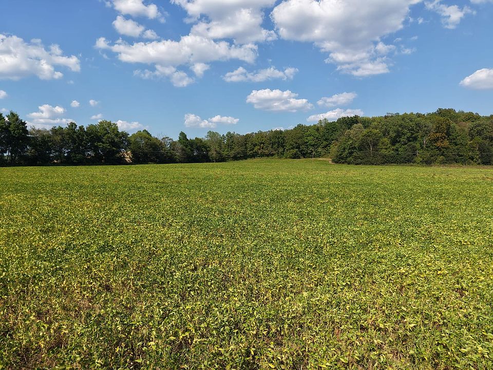 Dji Fly 20250917 153528 0448 1758153624293 Photo