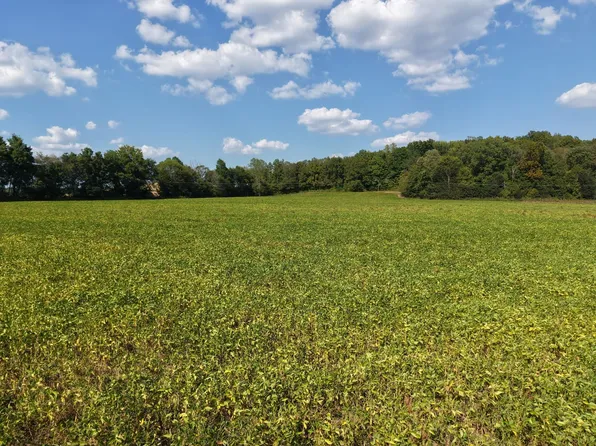 Mount Carmel Rd, Decaturville, TN 38329