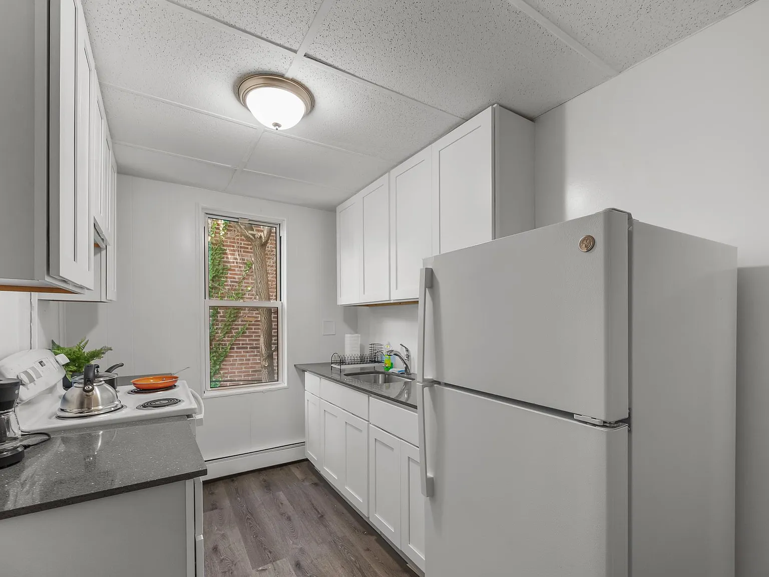 1 bed, $1,310 — Photo 3