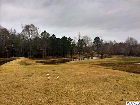 5th image of 13783 Crawford Dr
