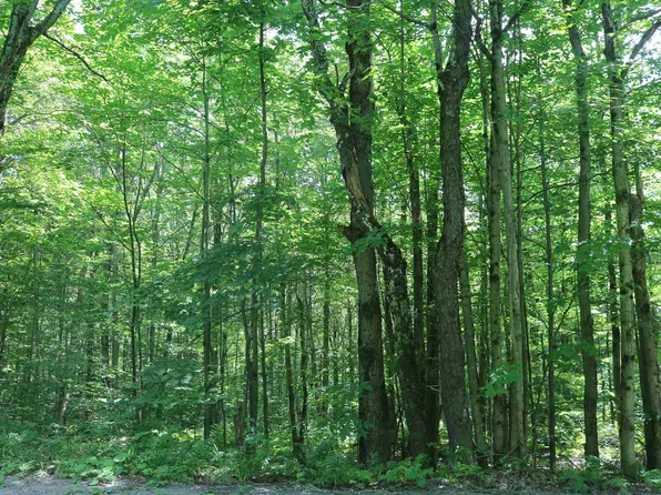 1454 Longley Bridge Road, Enosburg, VT 05450