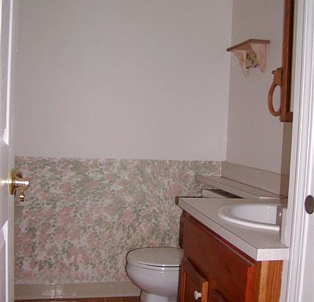 25194 Orchid 002