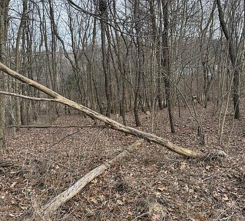 4th image of 4311 S Youngman Rd