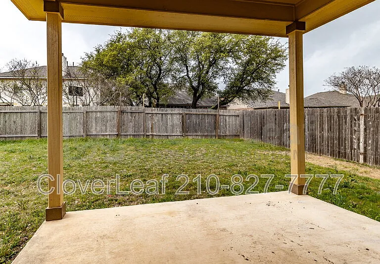 3734 Ox Eye Daisy — Photo 40