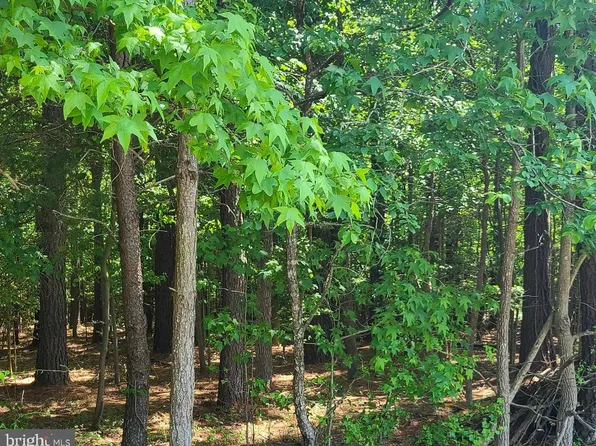 Rock Point Rd, Newburg, MD 20664