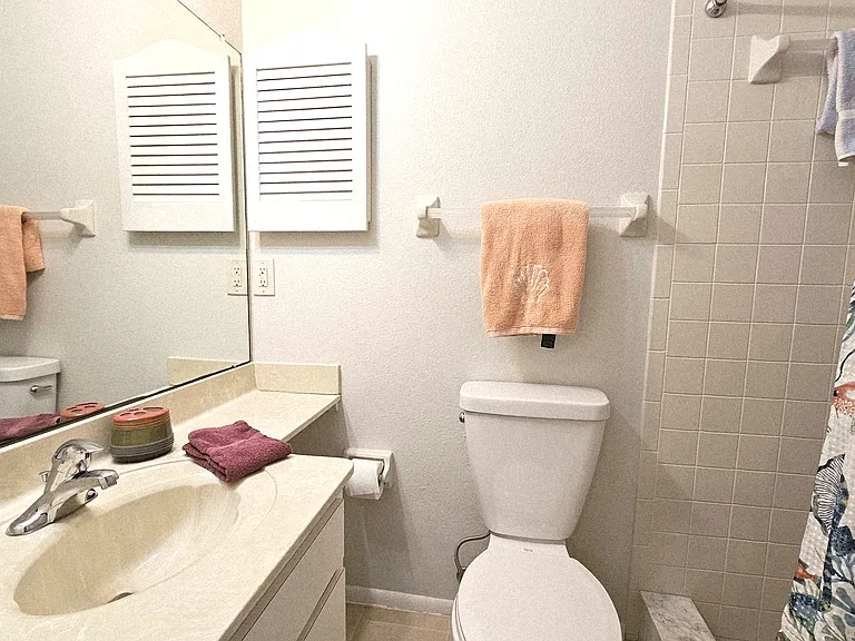 Master bath-walk in shower