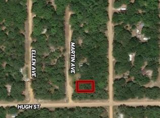 LOT 13 Martin Ave LOT 13, Interlachen, FL 32148
