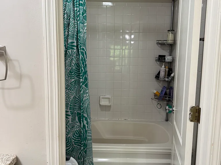 2513 Live Oak Ln — Photo 10