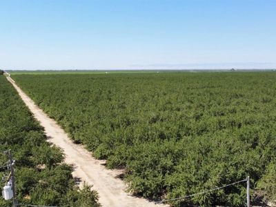 1 S Butte Ave, Kerman, CA, 93630
