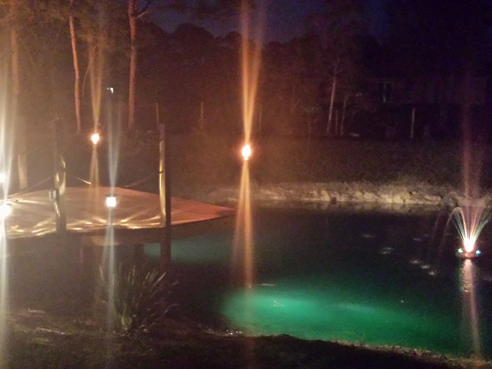 Your New Oasis
