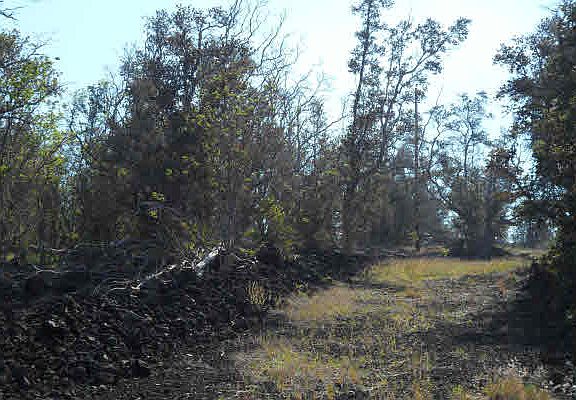 5th image of Prince Kuhio Blvd Lot 4