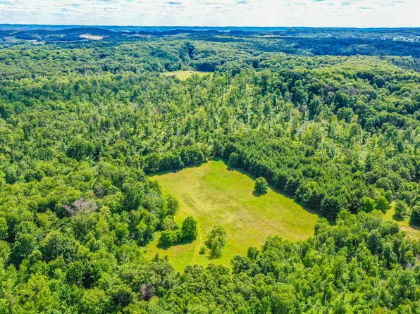 0 Lowes Creek Rd, Eleva, WI 54738
