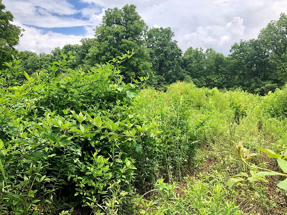 2nd image of 0 Thomas Valley Road