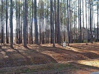 1st image of 398 Neuse Drive