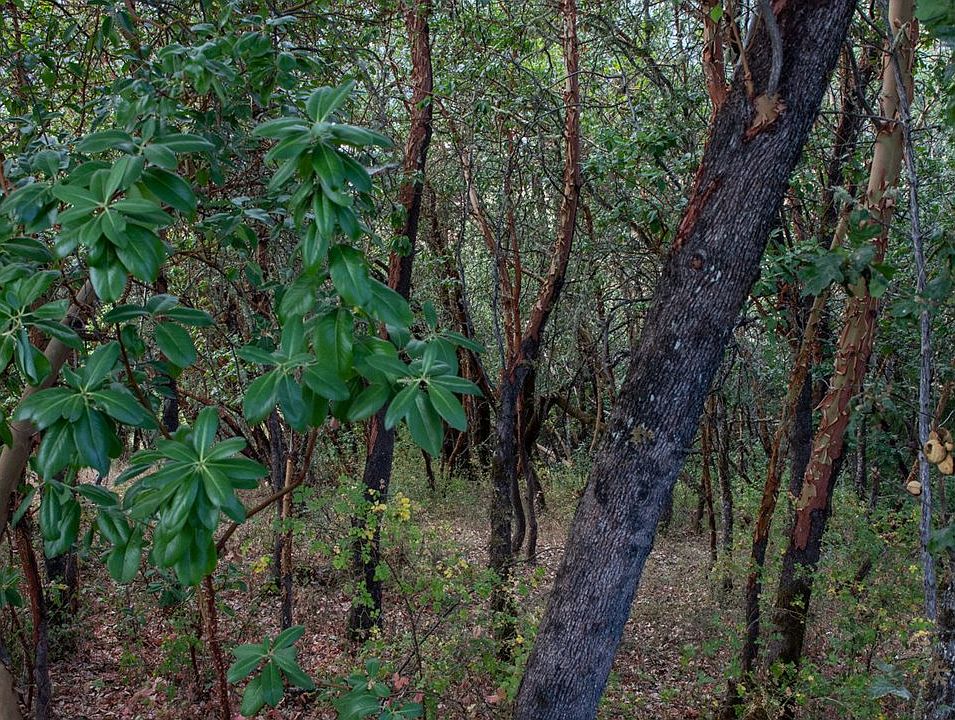 0 North Ct, Riddle, OR 97469 MLS 22544342 Zillow