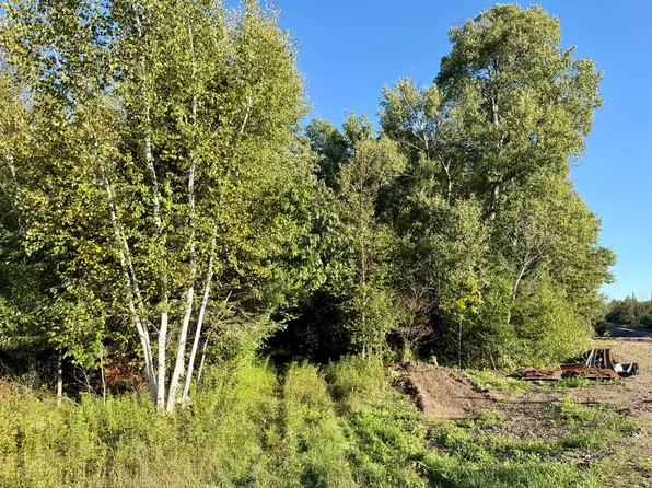 On Hwy #107, Tomahawk, WI 54487
