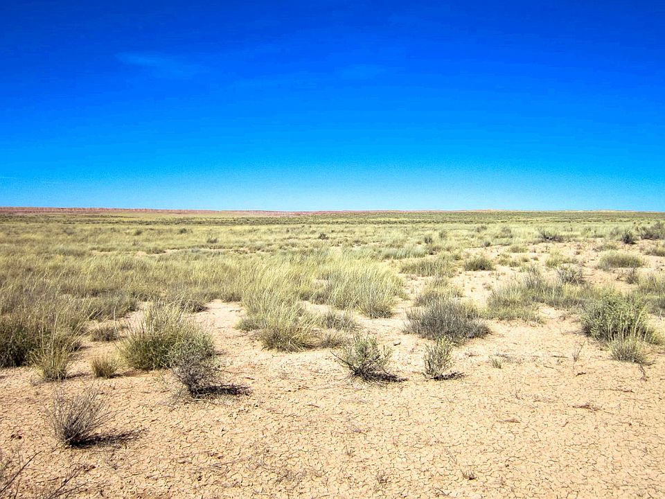 1st image of 001 Hwy 40