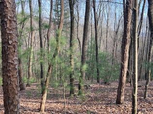 Township Road B Flat Branch Rd, Ellijay, GA 30540