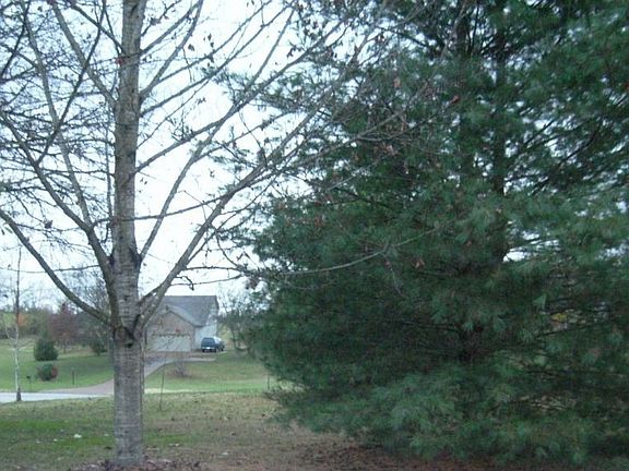 VIEW FROM FRONT PORCH