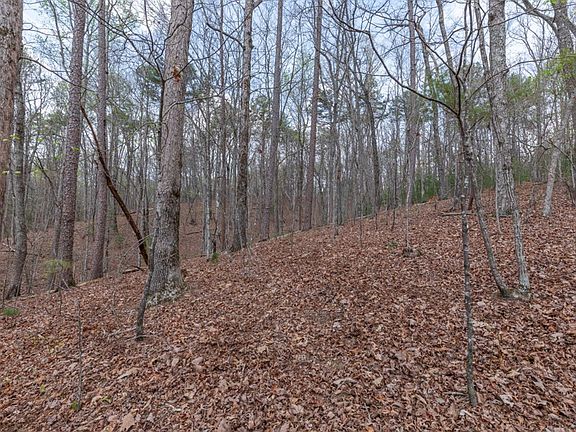 4th image of LOT 6B Glenridge Way