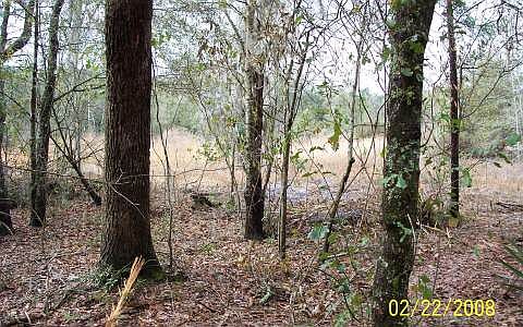 2nd image of 311 SW Cavalry Pl