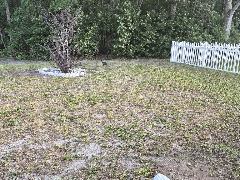 8136 Matthew Dr — Photo 10