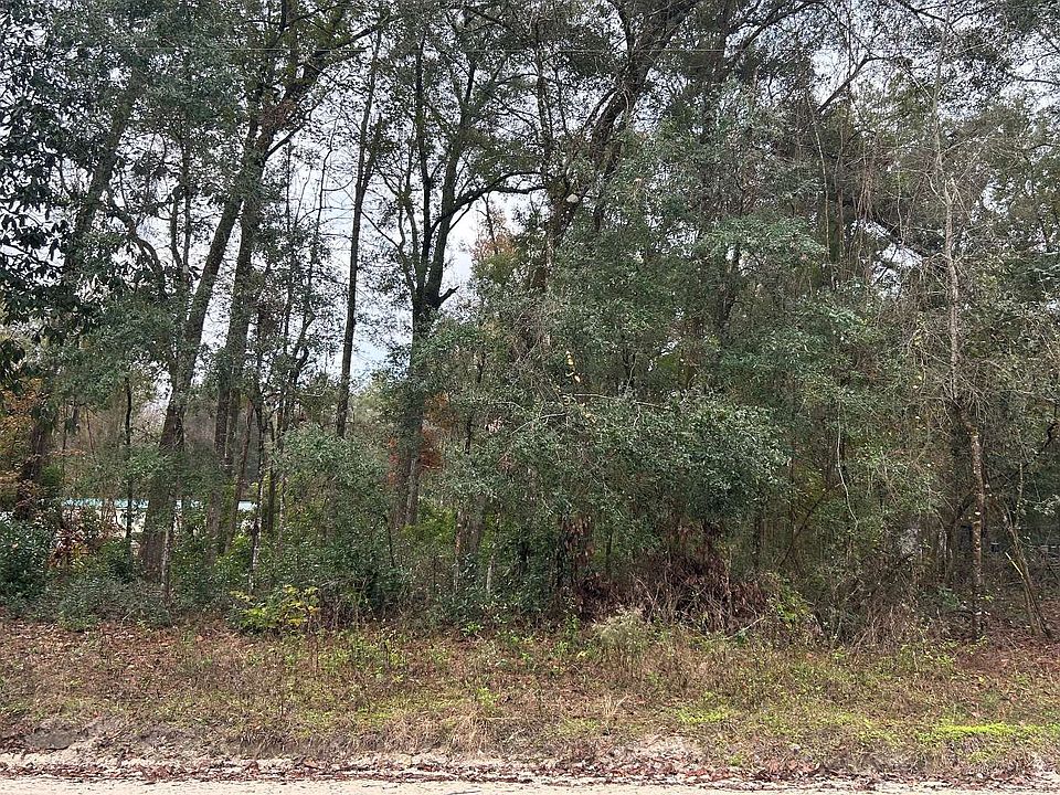 2nd image of LOT 11 284th St