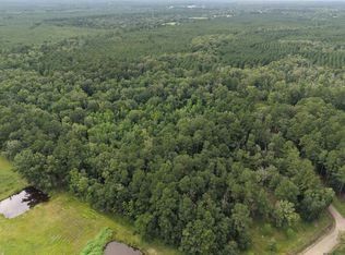28545 Coker Vail Rd N, Holden, LA 70744
