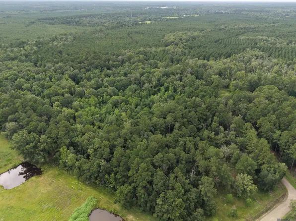 28545 Coker Vail Rd N, Holden, LA 70744