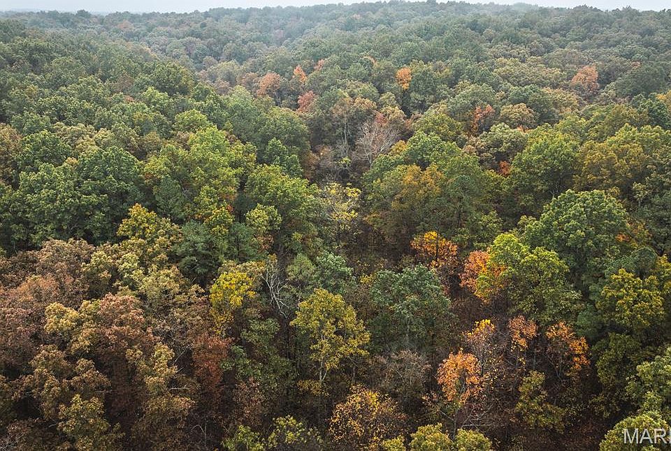 1st image of 0 Lodge Rd #6