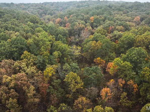 0 Lodge Rd #6, Bourbon, MO 65441