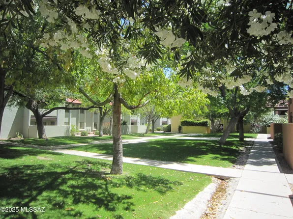 2172 N Pantano Rd, Tucson, AZ 85715