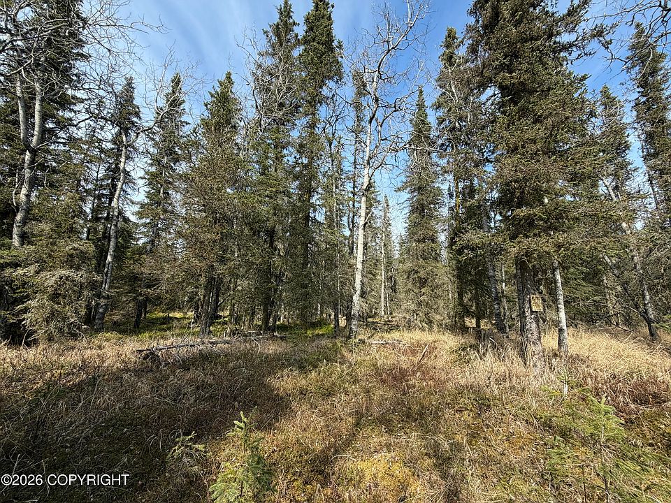 1st image of L11 B Kasilof Alaska #2