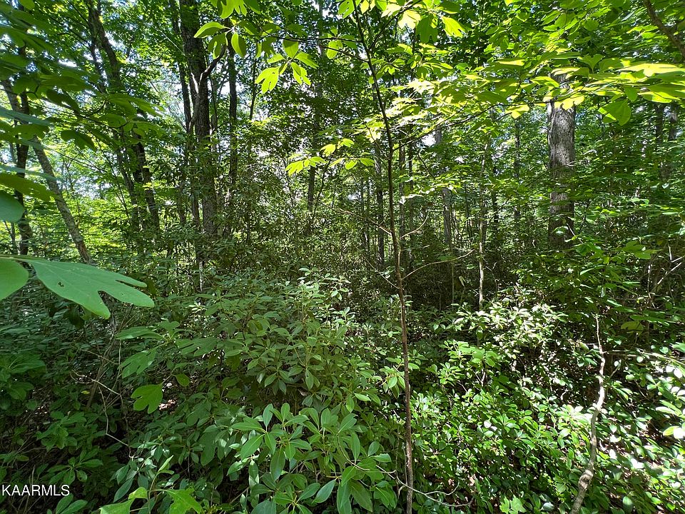 1st image of Big Falls Ln