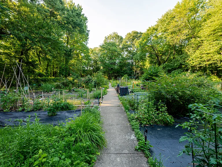 6621 Wakefield Dr #713 — Photo 47