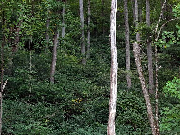 4th image of Tbd Willis Gap Rd