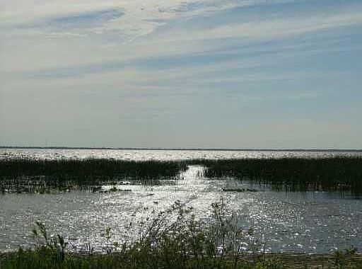 Lake View from lot rear
