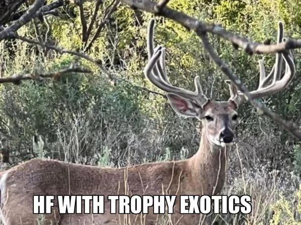 8500 County Road 121, Cross Plains, TX 76443