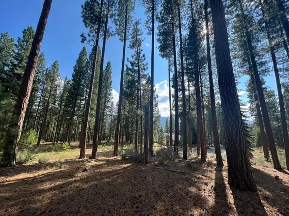 655 Bobcat Trl, Clio, CA 96106