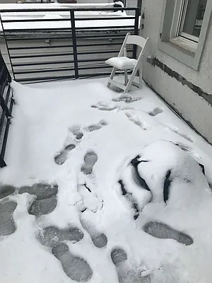 Rented by Capri Jet Realty Corp | media 8