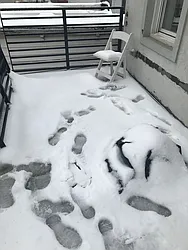 Rented by Capri Jet Realty Corp