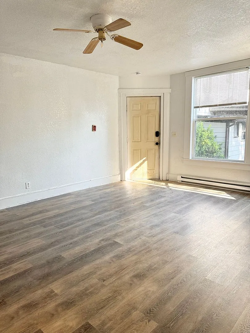 Adams — Photo 4